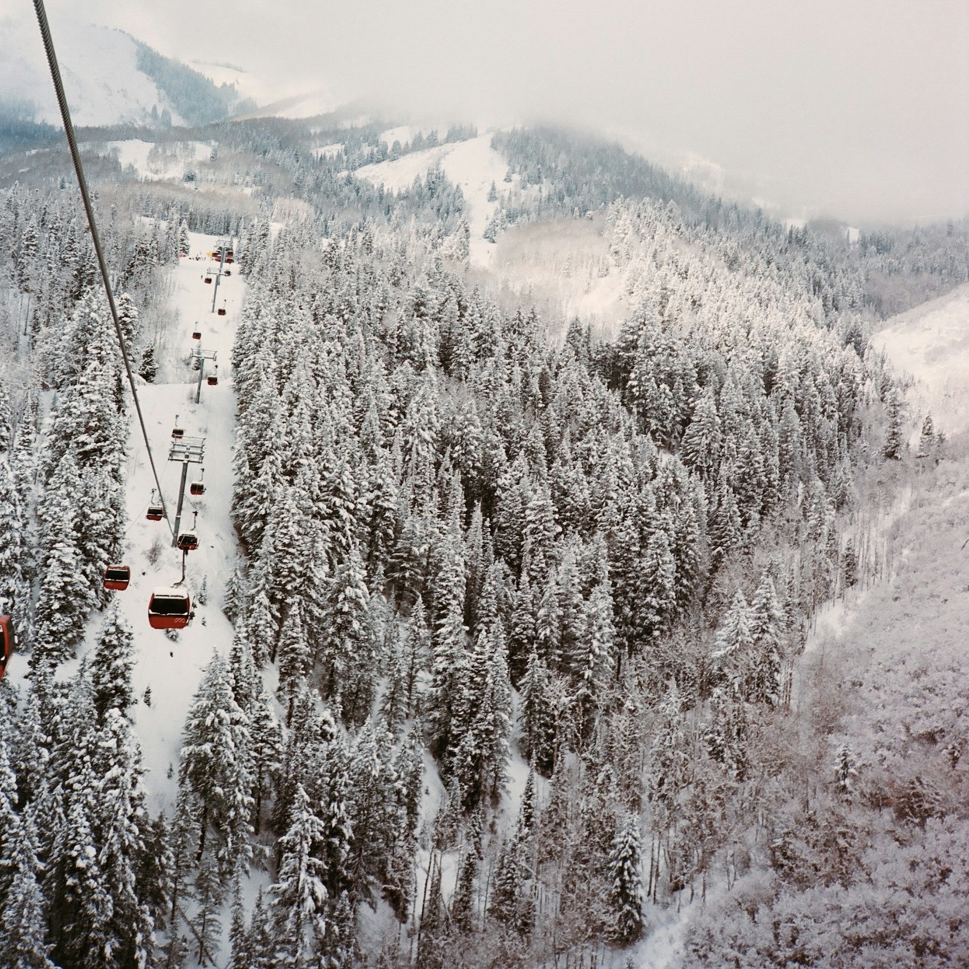 winter-season-booking